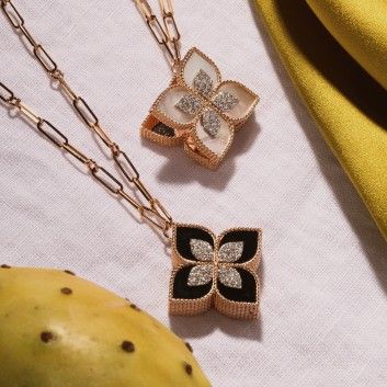 Coleo Princess Flower