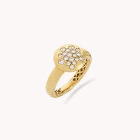 Ouro amarelo