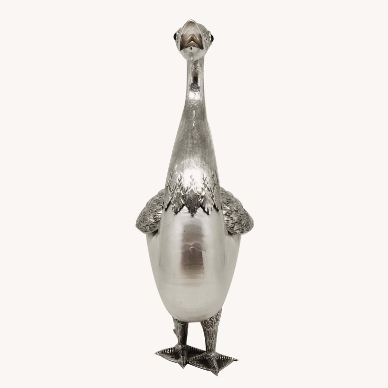 Pato Concha Nautilus