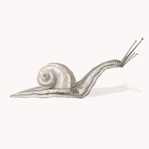 Caracol concha branca