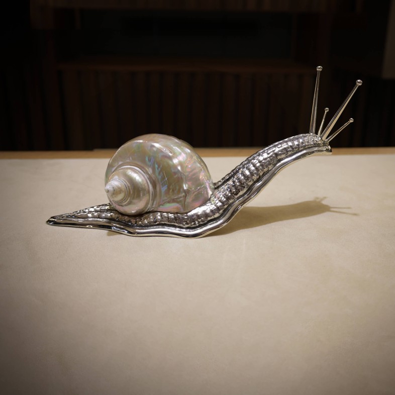 Caracol concha branca