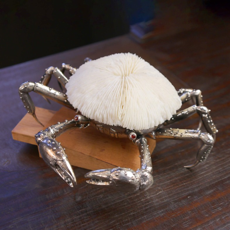 Coral crab