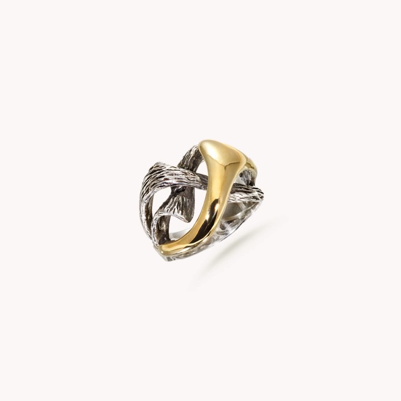 Silver and gold ring