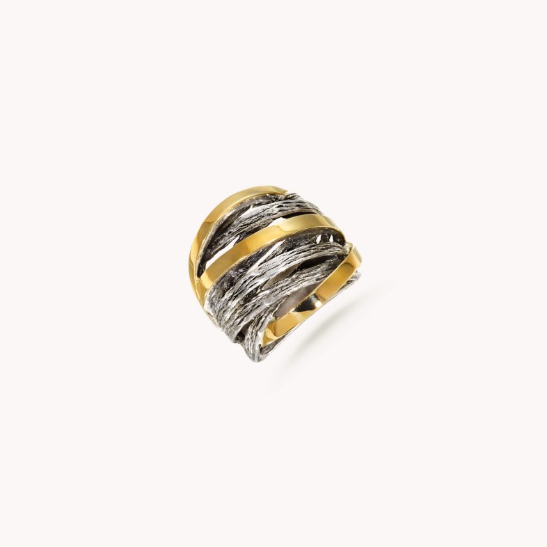 Silver and Gold ring