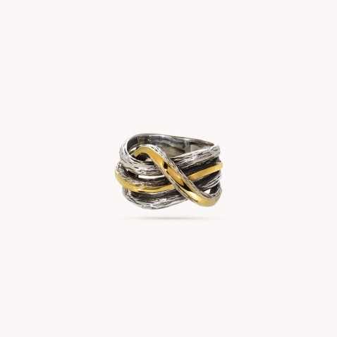 silver and gold ring