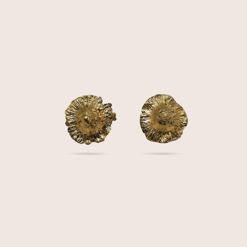BRINCOS PRATA CROWN OF CHRIST | NATURA