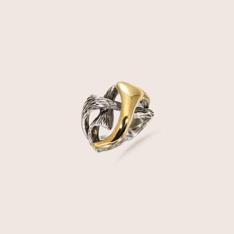 Silver and gold ring