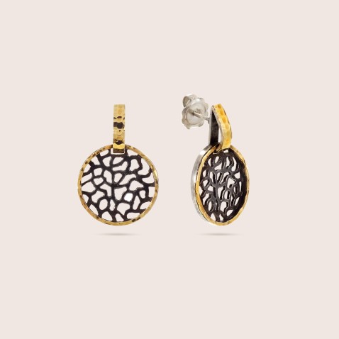 Silver and Gold earrings