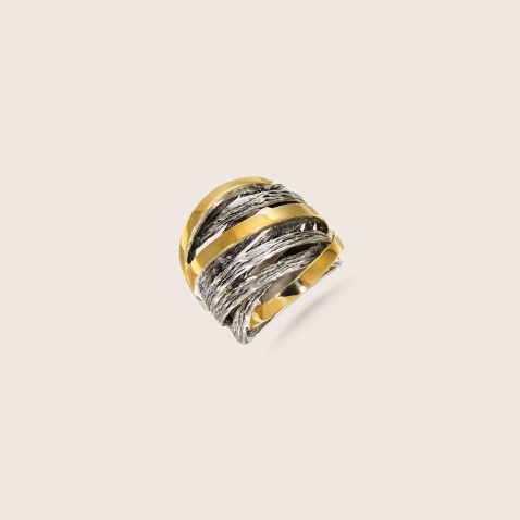 Silver and Gold ring