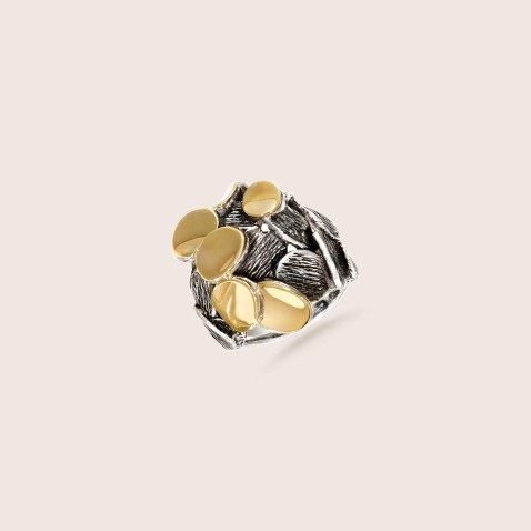 silver and goild ring