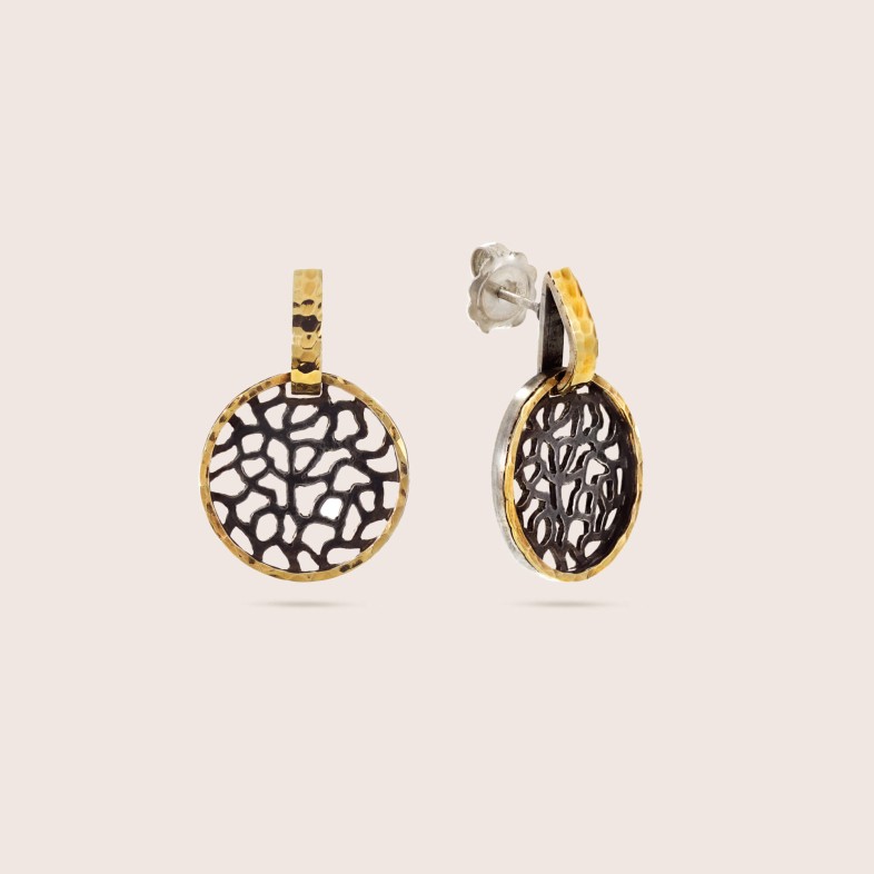 Silver and Gold earrings