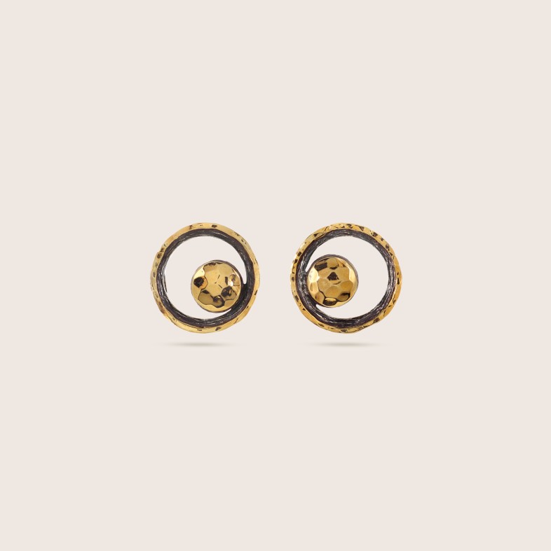 Silver and gold earrings