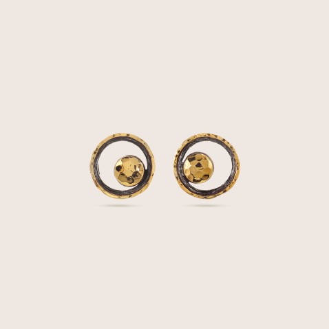 Silver and gold earrings