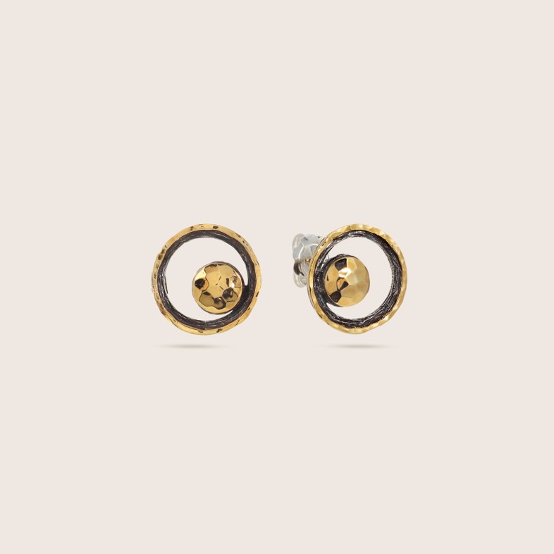 Silver and gold earrings
