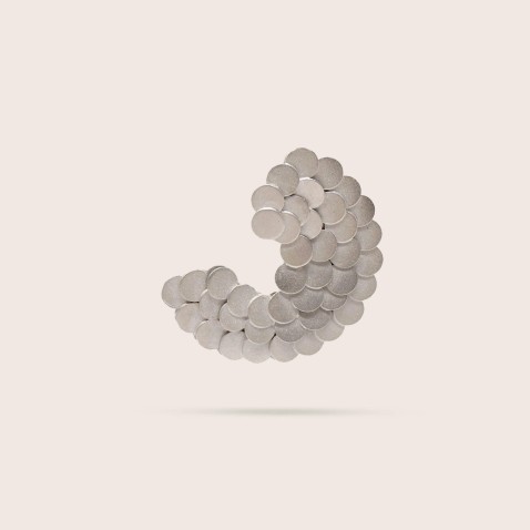 Scales | Brooch