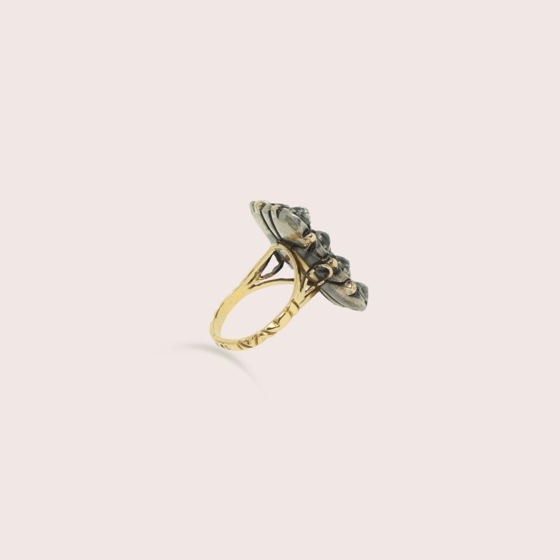 19.2K Silver and Gold Ring | Minas Novas