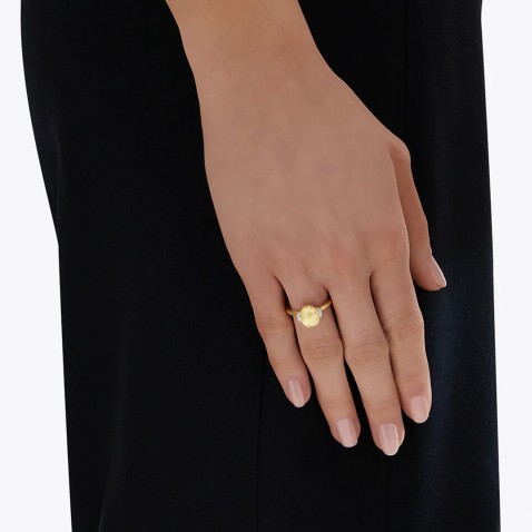 Anel Ouro 18K e Diamantes | lite