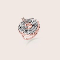 Rose / White Gold