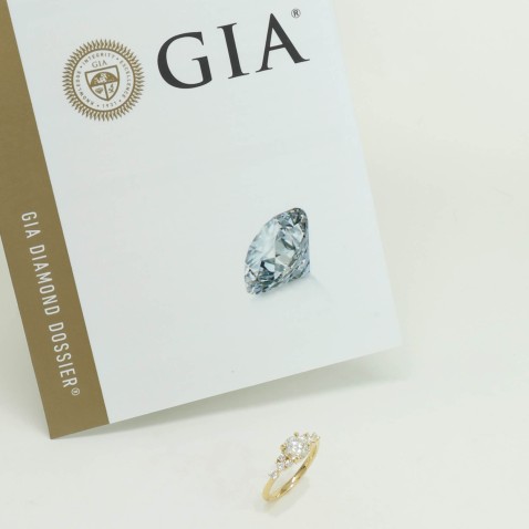 ANEL DE NOIVADO OURO 19,2K COM DIAMANTES | SPECIAL MOMENTS