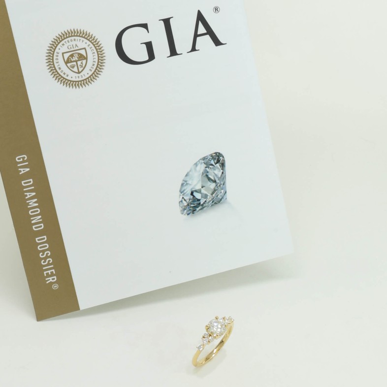 ANEL DE NOIVADO OURO 19,2K COM DIAMANTES | SPECIAL MOMENTS