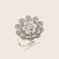 Prata / Prata com rdio