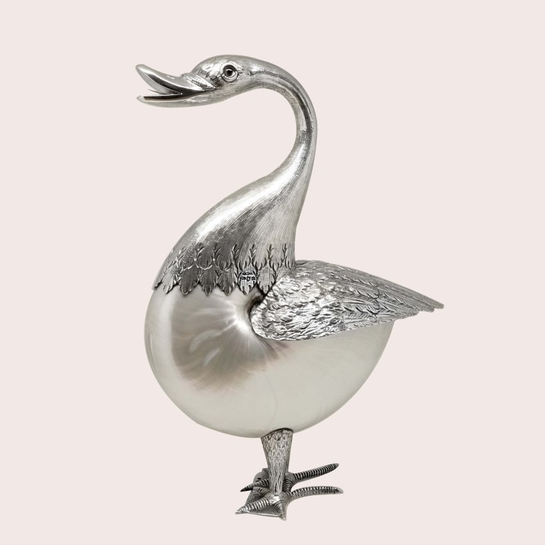Pato Concha Nautilus