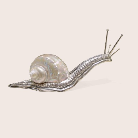 White shell snail