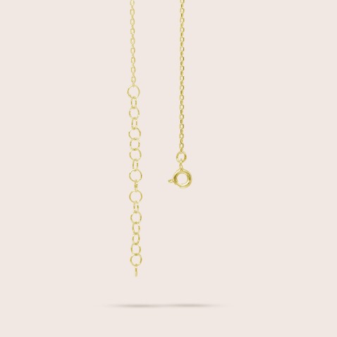 COLAR CARAMUJO PRATA DOURADA 925 | Rosas Portuguesas