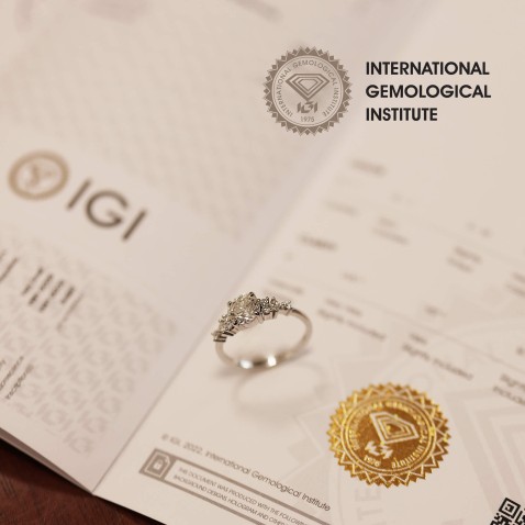 19,2K Gold Engagement Ring with Diamonds IGI Certified | Special Moments