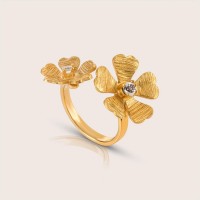 Gold-plated silver